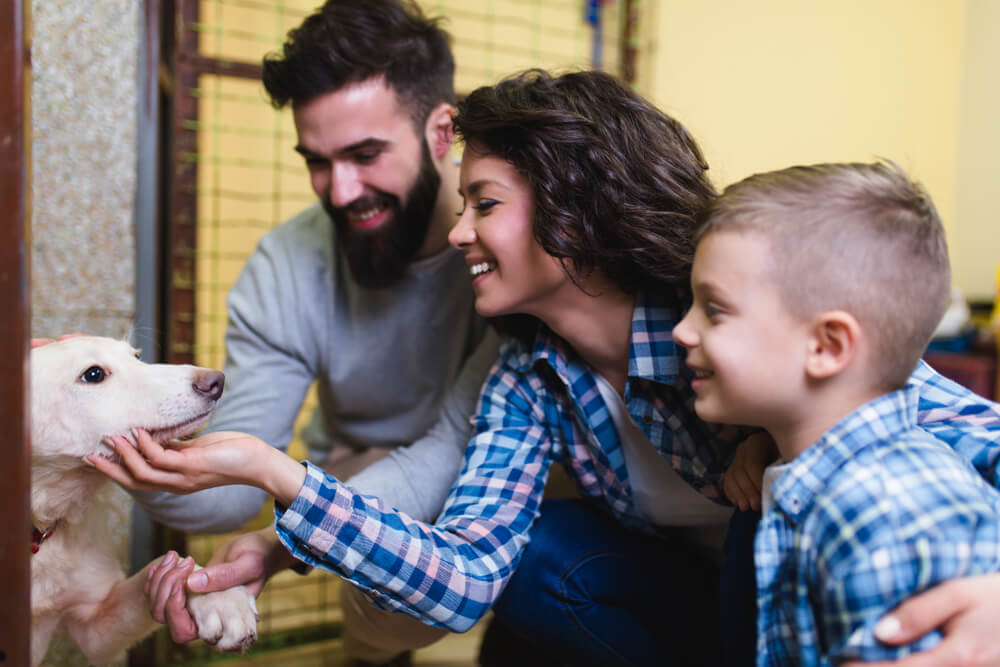 Happy family with a young child greeting a white dog at an animal shelter, representing choosing a new pet with children in San Diego