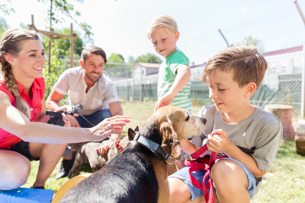 Family with two children meeting a Beagle on a leash at a dog shelter, representing successful dog training and adoption in San Diego