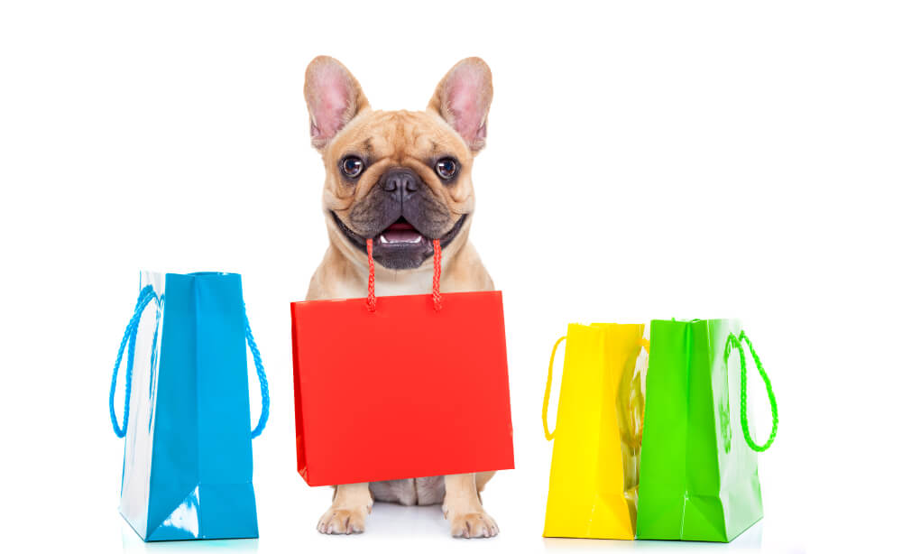 French Bulldog holding a red shopping bag surrounded by colourful gift bags, representing summer gift ideas for dogs in San Diego