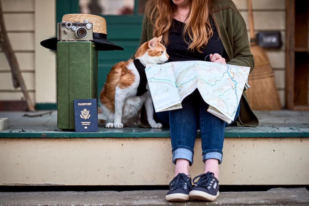 Owner reading a map beside a ginger cat and travel luggage with a passport, representing pet travel preparation in San Diego