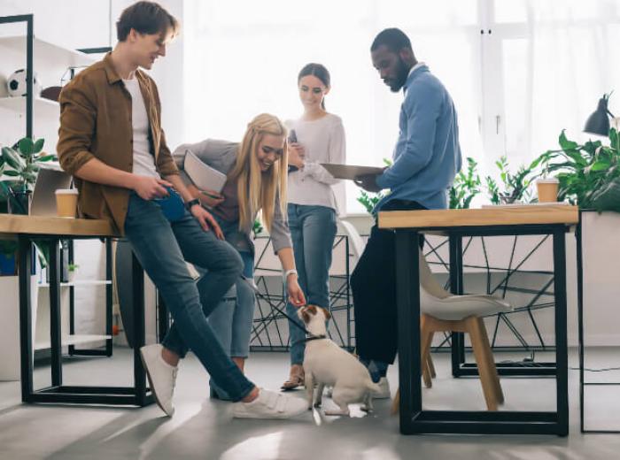 Taking Your Pet to Work