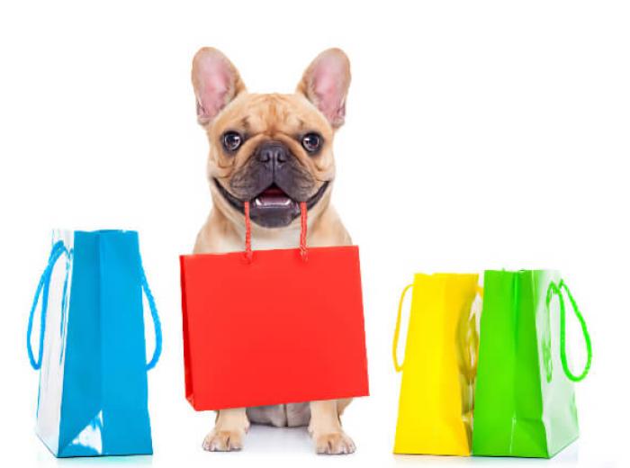 Christmas in July—5 Cool(ing) Gifts For Your Dog This Summer